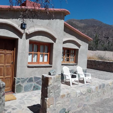 Cabana Flor De Cardon-Juella. Dış mekan fotoğraf